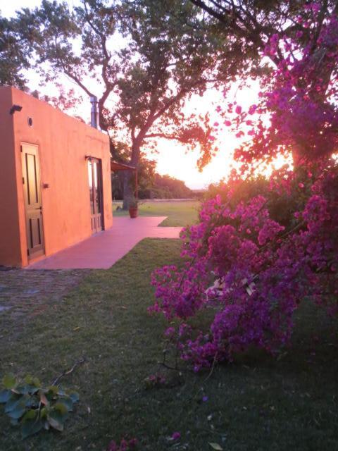 コロニア・デル・サクラメント La Casona De San Pedroヴィラ エクステリア 写真