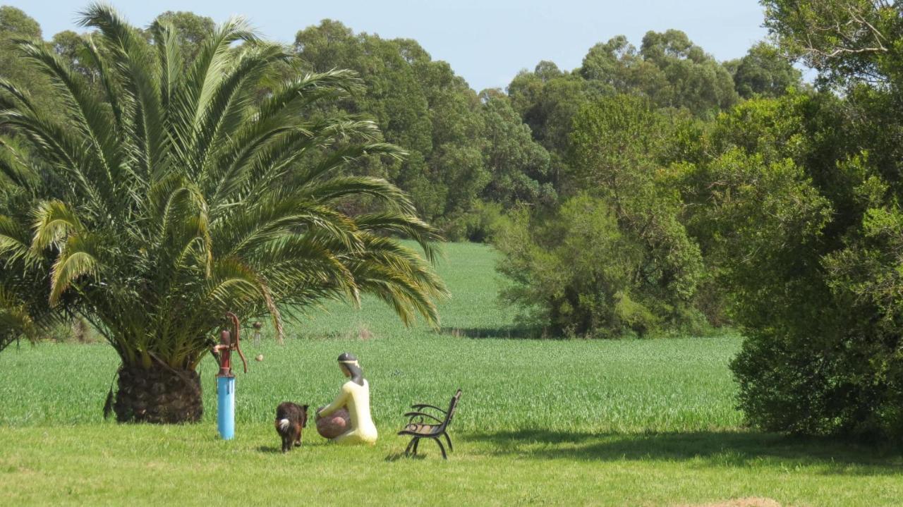 コロニア・デル・サクラメント La Casona De San Pedroヴィラ エクステリア 写真